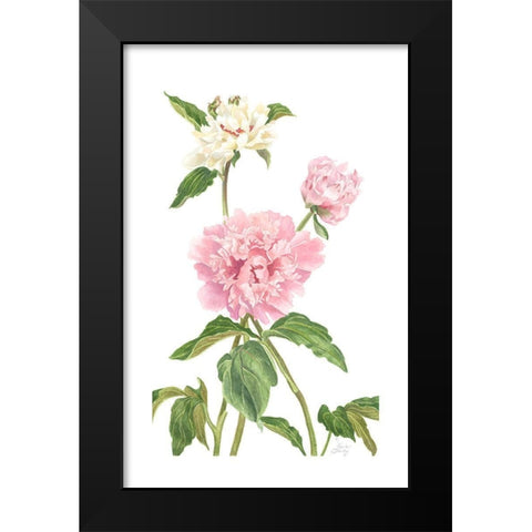 Peony II Black Modern Wood Framed Art Print by Shirley, Pamela