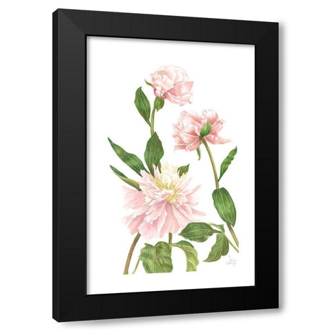 Peony III Black Modern Wood Framed Art Print by Shirley, Pamela