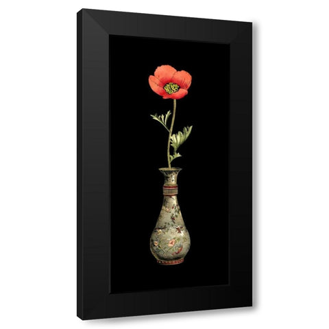 Poppy Magic III Black Modern Wood Framed Art Print with Double Matting by Vision Studio