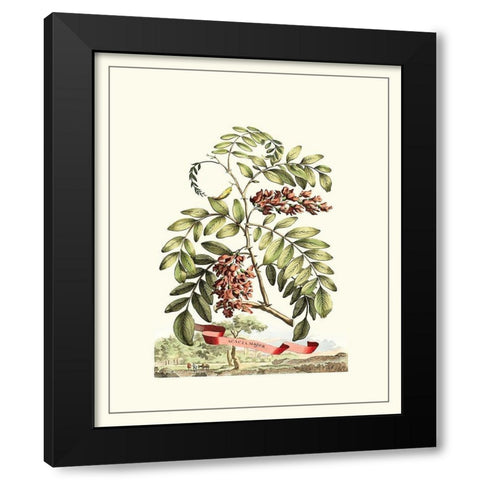 Grandiose View I Black Modern Wood Framed Art Print by Munting, Abraham