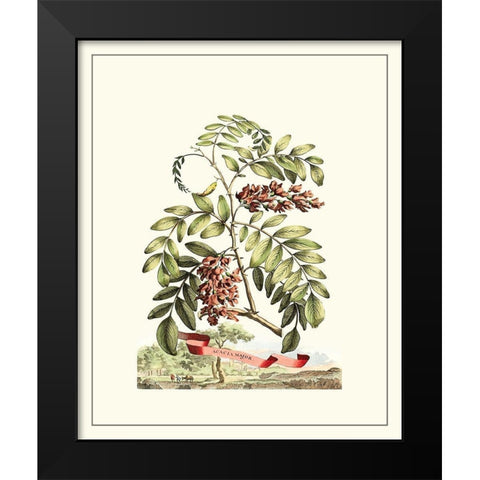 Grandiose View I Black Modern Wood Framed Art Print by Munting, Abraham