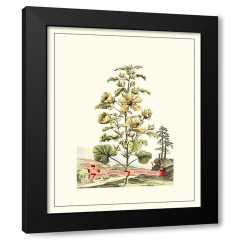 Grandiose View II Black Modern Wood Framed Art Print by Munting, Abraham
