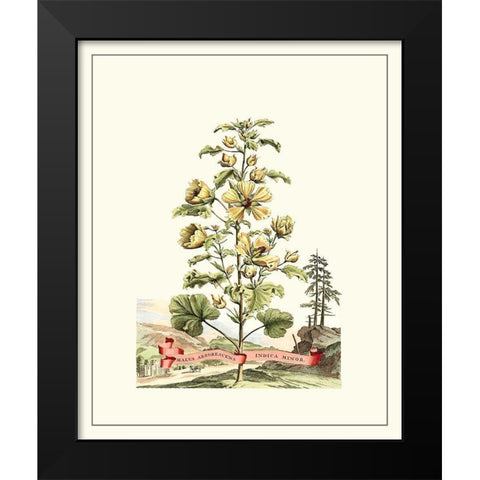 Grandiose View II Black Modern Wood Framed Art Print by Munting, Abraham