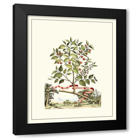 Grandiose View III Black Modern Wood Framed Art Print by Munting, Abraham