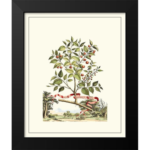 Grandiose View III Black Modern Wood Framed Art Print by Munting, Abraham
