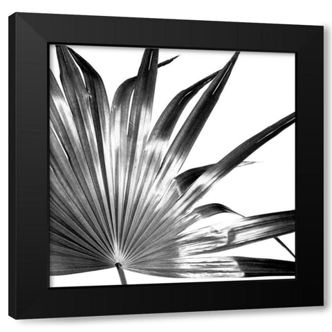 Black and White Palm I Black Modern Wood Framed Art Print by Johnson, Jason