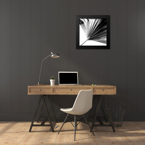 Black and White Palm II Black Modern Wood Framed Art Print by Johnson, Jason
