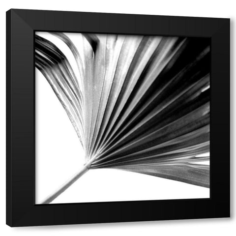 Black and White Palm II Black Modern Wood Framed Art Print by Johnson, Jason