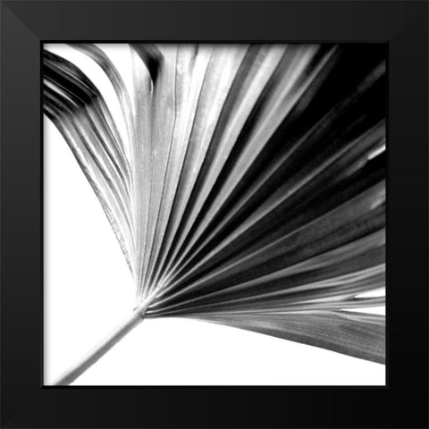 Black and White Palm II Black Modern Wood Framed Art Print by Johnson, Jason
