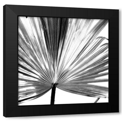 Black and White Palm III Black Modern Wood Framed Art Print by Johnson, Jason