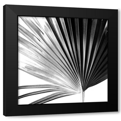 Black and White Palm IV Black Modern Wood Framed Art Print by Johnson, Jason