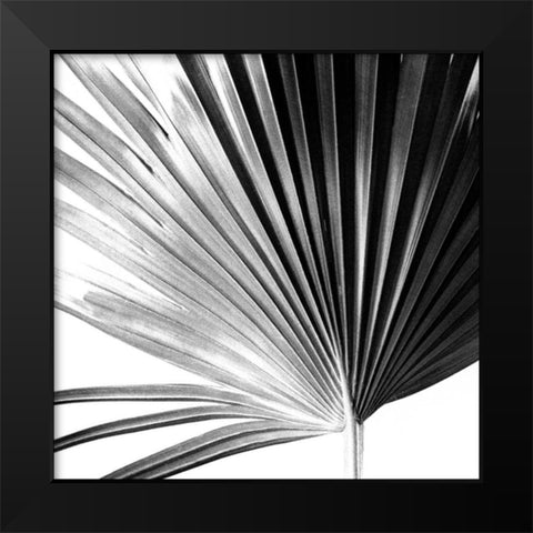 Black and White Palm IV Black Modern Wood Framed Art Print by Johnson, Jason
