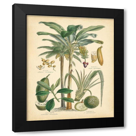 Fruitful Palm II Black Modern Wood Framed Art Print by Vision Studio