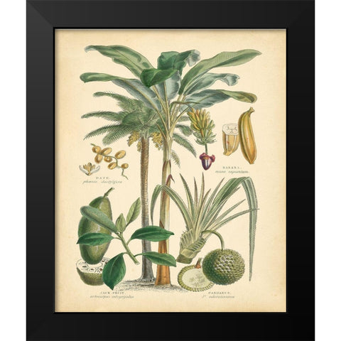 Fruitful Palm II Black Modern Wood Framed Art Print by Vision Studio