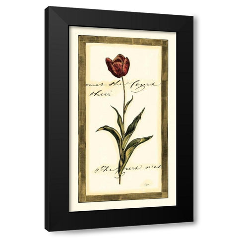 Jens Tulip I Black Modern Wood Framed Art Print with Double Matting by Vision Studio