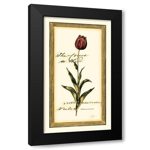Jens Tulip II Black Modern Wood Framed Art Print with Double Matting by Vision Studio