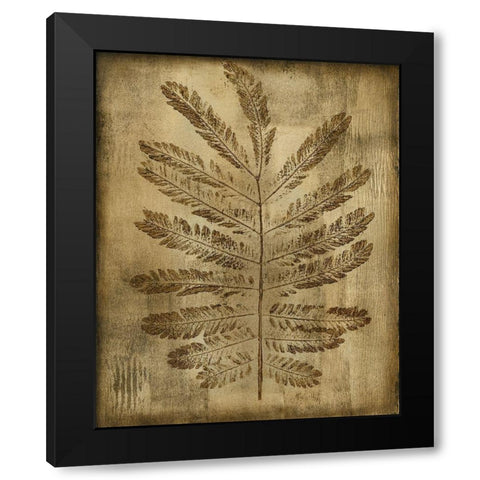 Sepia Drenched Fern I Black Modern Wood Framed Art Print by Slocum, Nancy