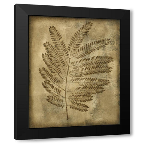 Sepia Drenched Fern II Black Modern Wood Framed Art Print with Double Matting by Slocum, Nancy