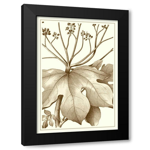 Cropped Sepia Botanical VI Black Modern Wood Framed Art Print with Double Matting by Vision Studio