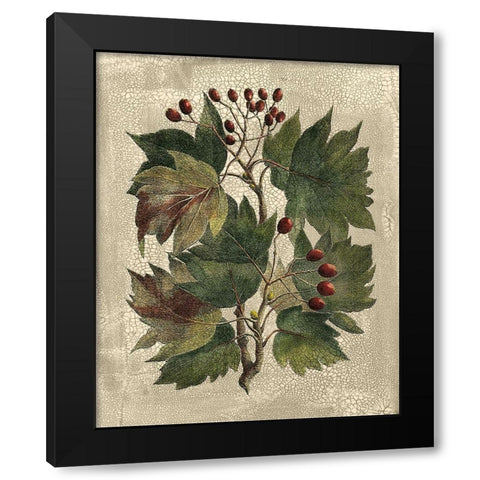 Deshayes Tree I Black Modern Wood Framed Art Print with Double Matting by Deshayes, Gerard Paul