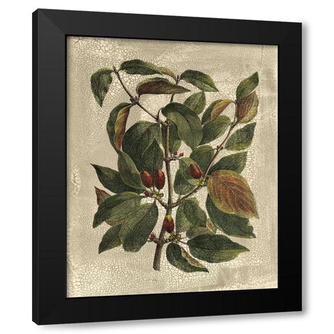 Deshayes Tree II Black Modern Wood Framed Art Print by Deshayes, Gerard Paul