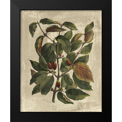 Deshayes Tree II Black Modern Wood Framed Art Print by Deshayes, Gerard Paul
