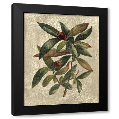 Deshayes Tree III Black Modern Wood Framed Art Print with Double Matting by Deshayes, Gerard Paul