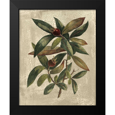 Deshayes Tree III Black Modern Wood Framed Art Print by Deshayes, Gerard Paul