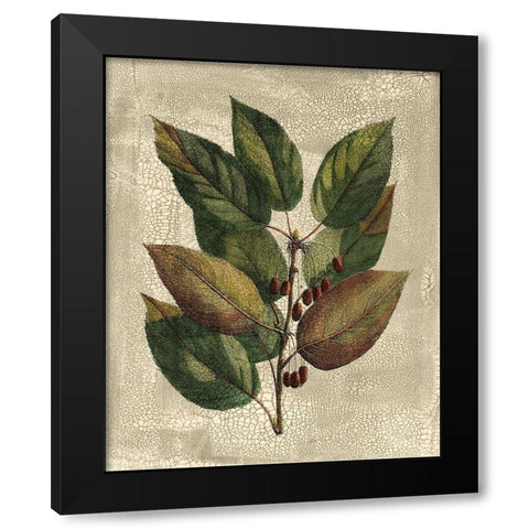 Deshayes Tree IV Black Modern Wood Framed Art Print by Deshayes, Gerard Paul