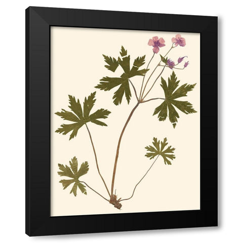 Pressed Botanical III Black Modern Wood Framed Art Print with Double Matting by Vision Studio