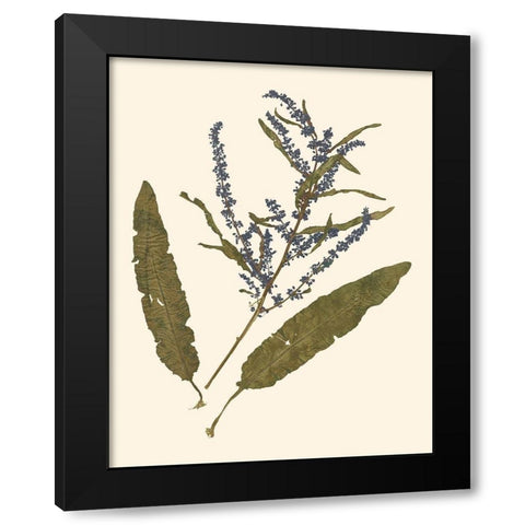Pressed Botanical IV Black Modern Wood Framed Art Print with Double Matting by Vision Studio