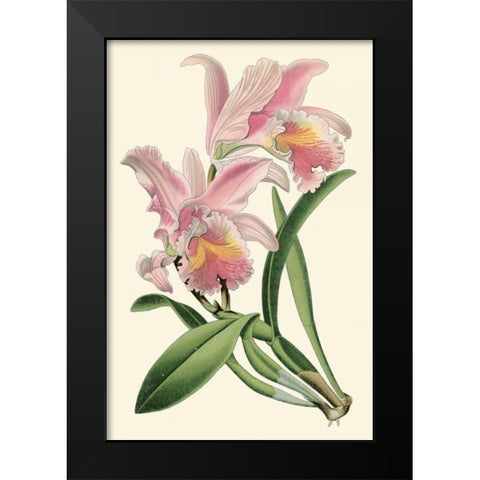 Delicate Orchid III Black Modern Wood Framed Art Print by Vision Studio