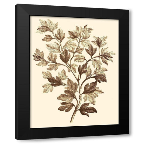 Sepia Munting Foliage I Black Modern Wood Framed Art Print by Munting, Abraham