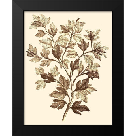 Sepia Munting Foliage I Black Modern Wood Framed Art Print by Munting, Abraham