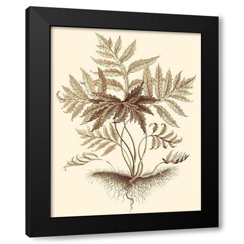 Sepia Munting Foliage IV Black Modern Wood Framed Art Print with Double Matting by Munting, Abraham
