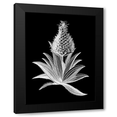 Pineapple Noir I Black Modern Wood Framed Art Print by Vision Studio