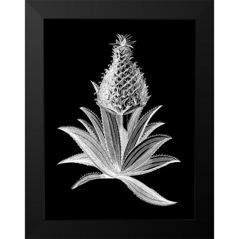 Pineapple Noir I Black Modern Wood Framed Art Print by Vision Studio
