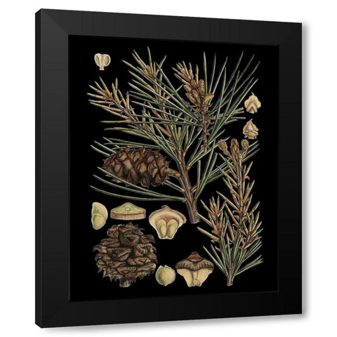 Dramatic Conifers II Black Modern Wood Framed Art Print by Vision Studio