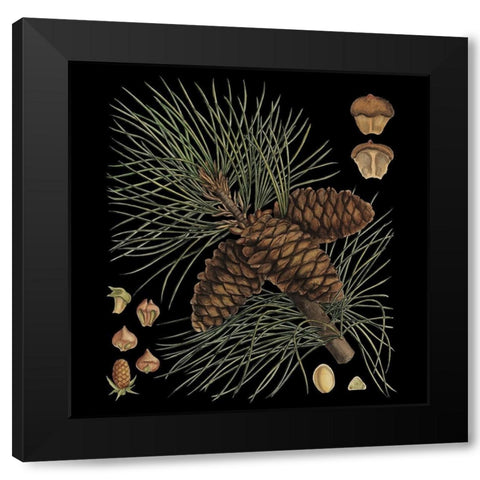 Dramatic Conifers V Black Modern Wood Framed Art Print by Vision Studio