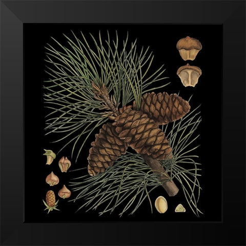 Dramatic Conifers V Black Modern Wood Framed Art Print by Vision Studio