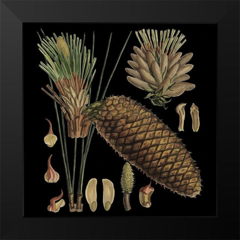 Dramatic Conifers VI Black Modern Wood Framed Art Print by Vision Studio