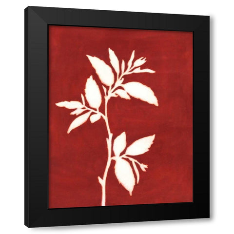 Four Seasons Foliage III Black Modern Wood Framed Art Print with Double Matting by Meagher, Megan