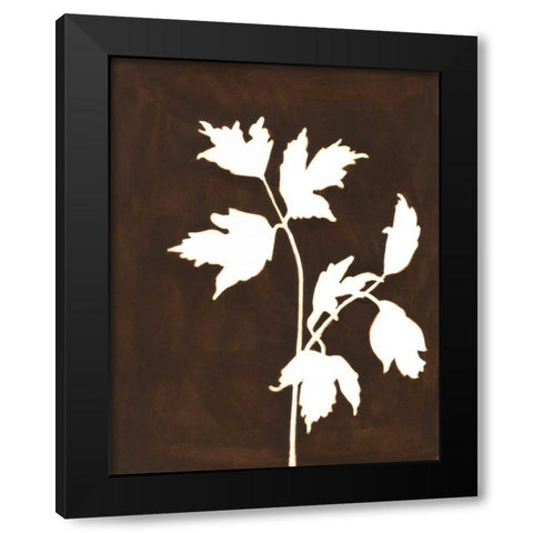 Four Seasons Foliage IV Black Modern Wood Framed Art Print by Meagher, Megan