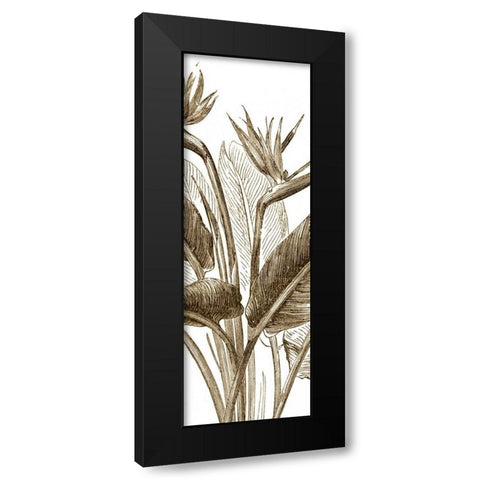 Bird of Paradise Triptych II Black Modern Wood Framed Art Print with Double Matting by Vision Studio