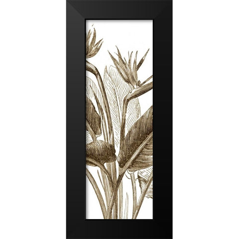 Bird of Paradise Triptych II Black Modern Wood Framed Art Print by Vision Studio