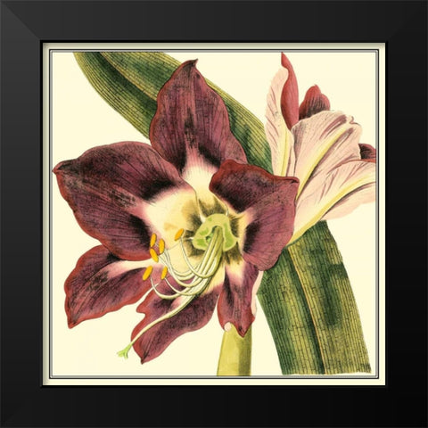 Poetic Blossoms III Black Modern Wood Framed Art Print by Vision Studio