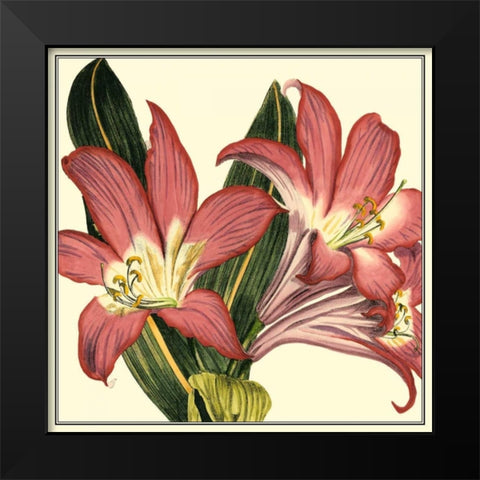 Poetic Blossoms IV Black Modern Wood Framed Art Print by Vision Studio