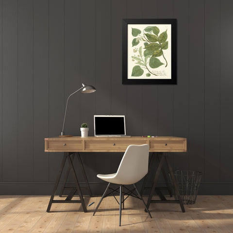 Weinmann Greenery III Black Modern Wood Framed Art Print by Weinmann