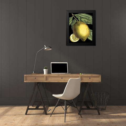 Fragrant Citrus II Black Modern Wood Framed Art Print by Volckamer, Johann C.