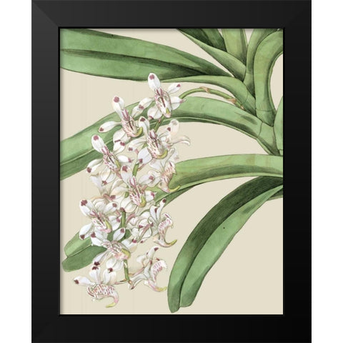 Orchid Blooms I Black Modern Wood Framed Art Print by Vision Studio